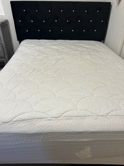 Plush Pillow Top Mattress W/ Box Spring