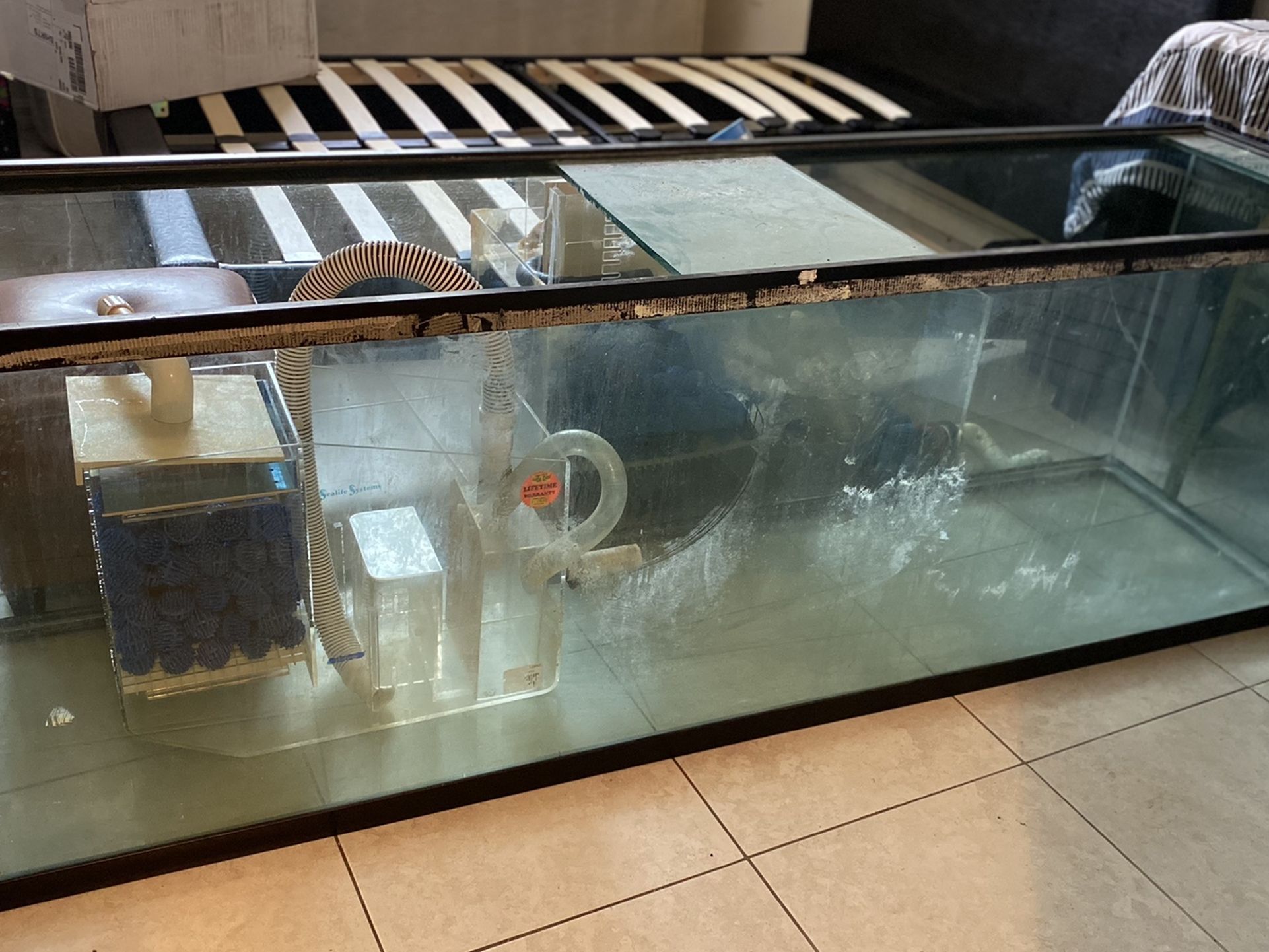 130 Gallon Fish Tank With Filter