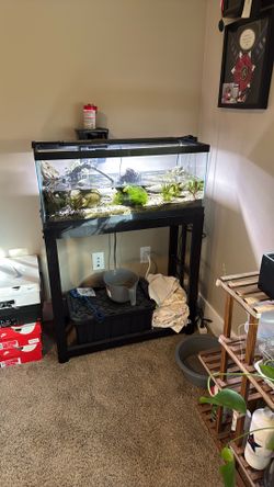 Complete Fish Tank Withstand