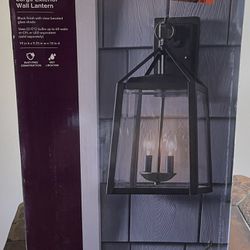 Home Decorators Blakeley 2-Light Black Outdoor Wall Lantern with Beveled Glass 