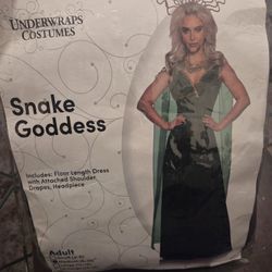 Halloween Costume Adult