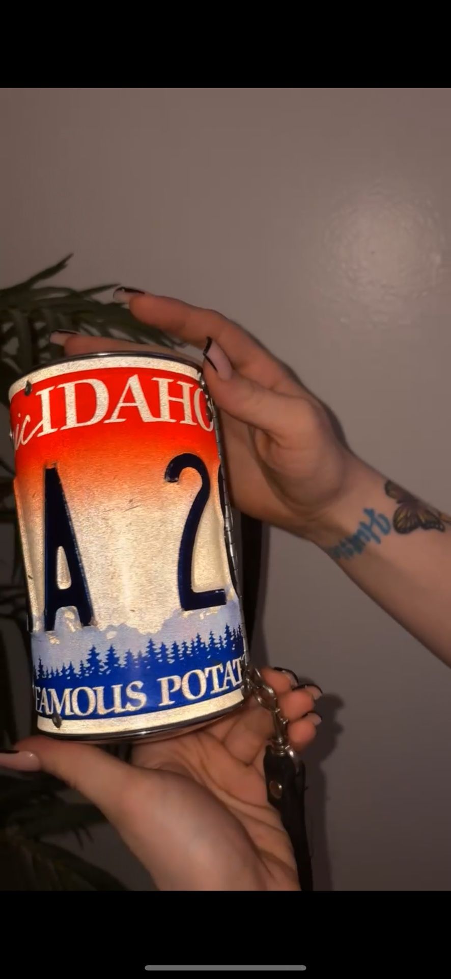 Rare License Plate Purse