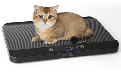 Pet/Baby Scale