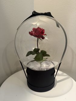 Valentine's Arrangement 