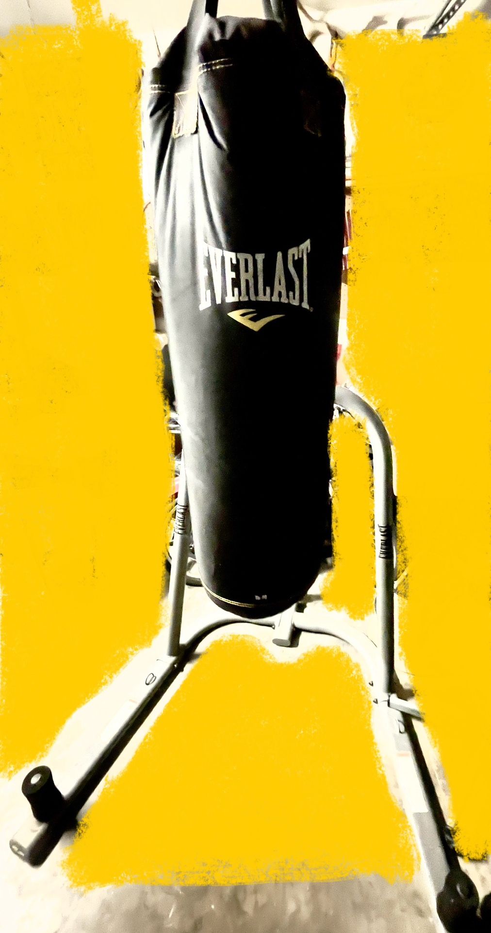 Everlast Punching Bag