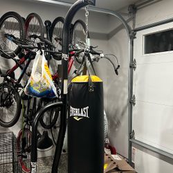 Everlast Boxing Bag And Stand 