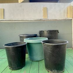 flower pots (Together)