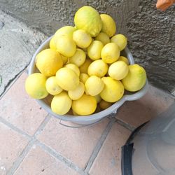 Limón Organico