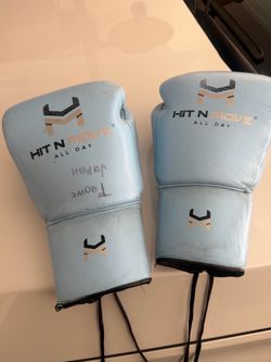 Hit N Move Boxing Gloves