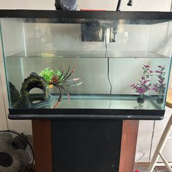 Aquarium  With Stand 