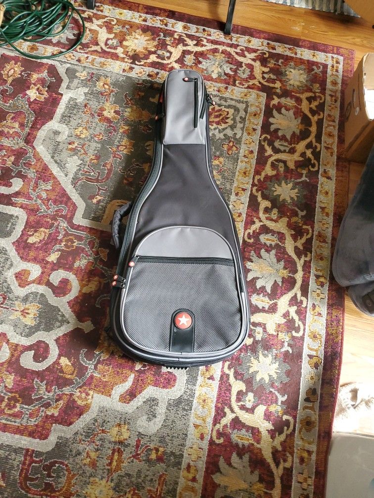 Newer ROADRUNNER Guitar case (Soft padded)