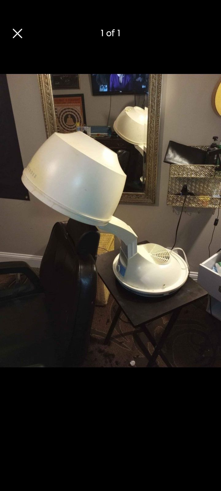 Natural Wonder Hair dryer