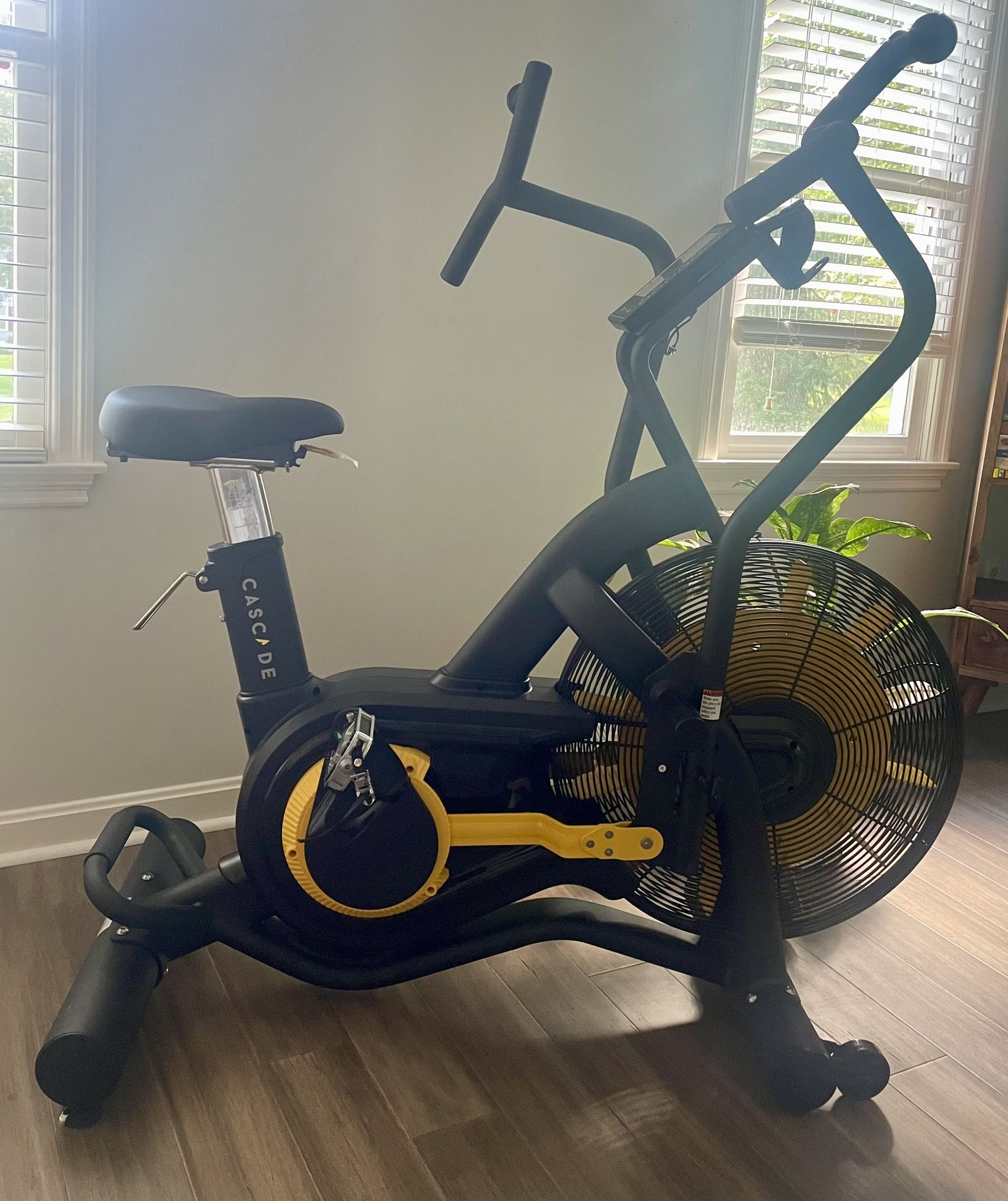 Cascade large fitness bike