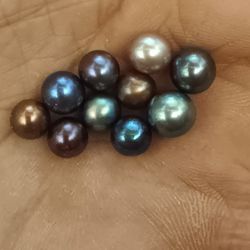 Real Tahitian Pearls/ Black Lipped Tahitian Oysters