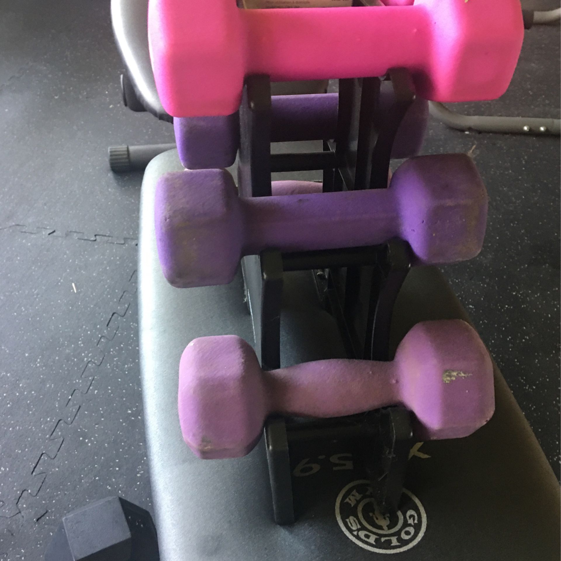 Dumbbells Set With Rack Stand 