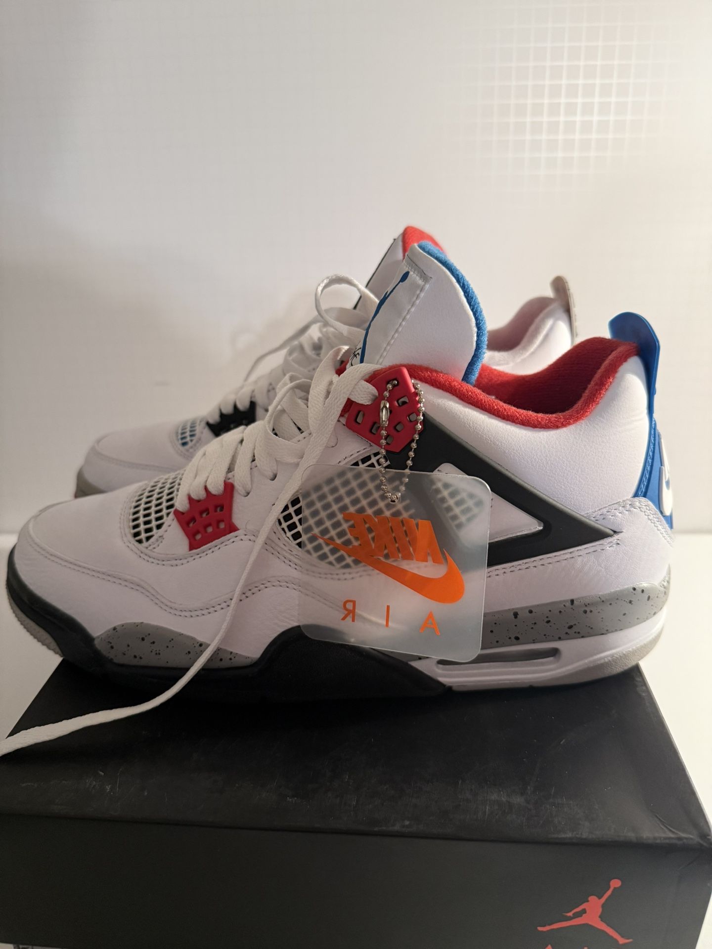 Jordan 4 What Thes Size 10
