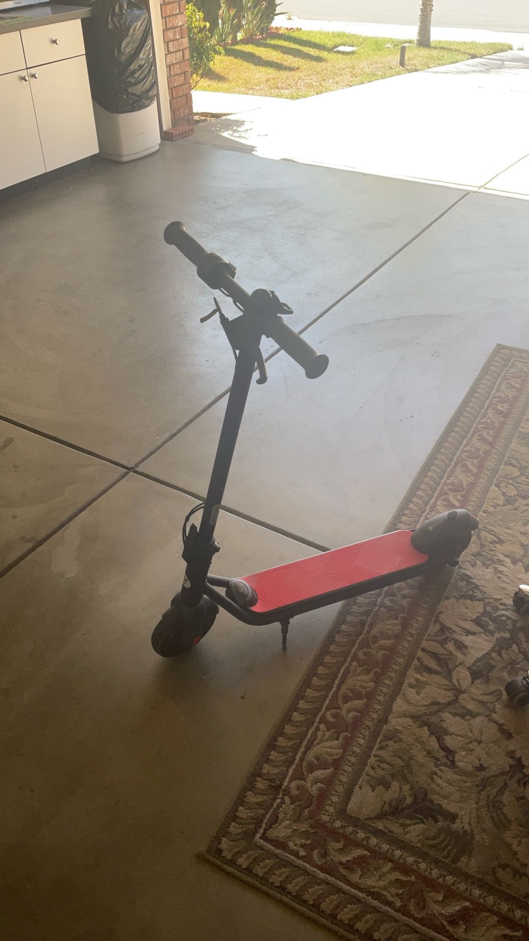 Ninebot Electric Scooter