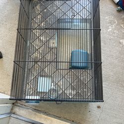 Hamster Habitat