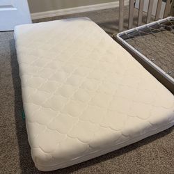Newton crib mattress and waterproof mattress pad