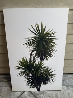 Palm Tree Artwork