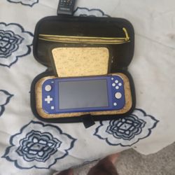 Nintendo Lite