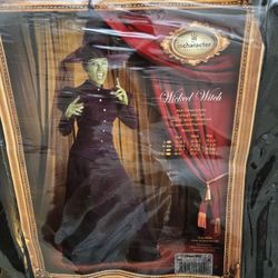 His & Hers SET, Used Once, Women's MEDIUM,  WICKED Witch Costume With MEN'S Scarecrow Costume  