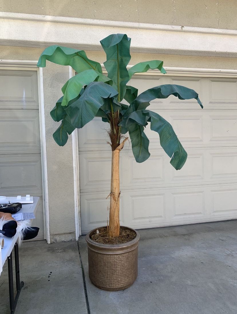 Fake Palm Tree Plant
