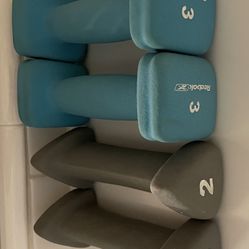 2lb And 3lb Weights