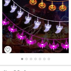Mosoan Halloween String Lights Battery Operated 20 Feet 30 LED 3D

(WAS 31.99) 