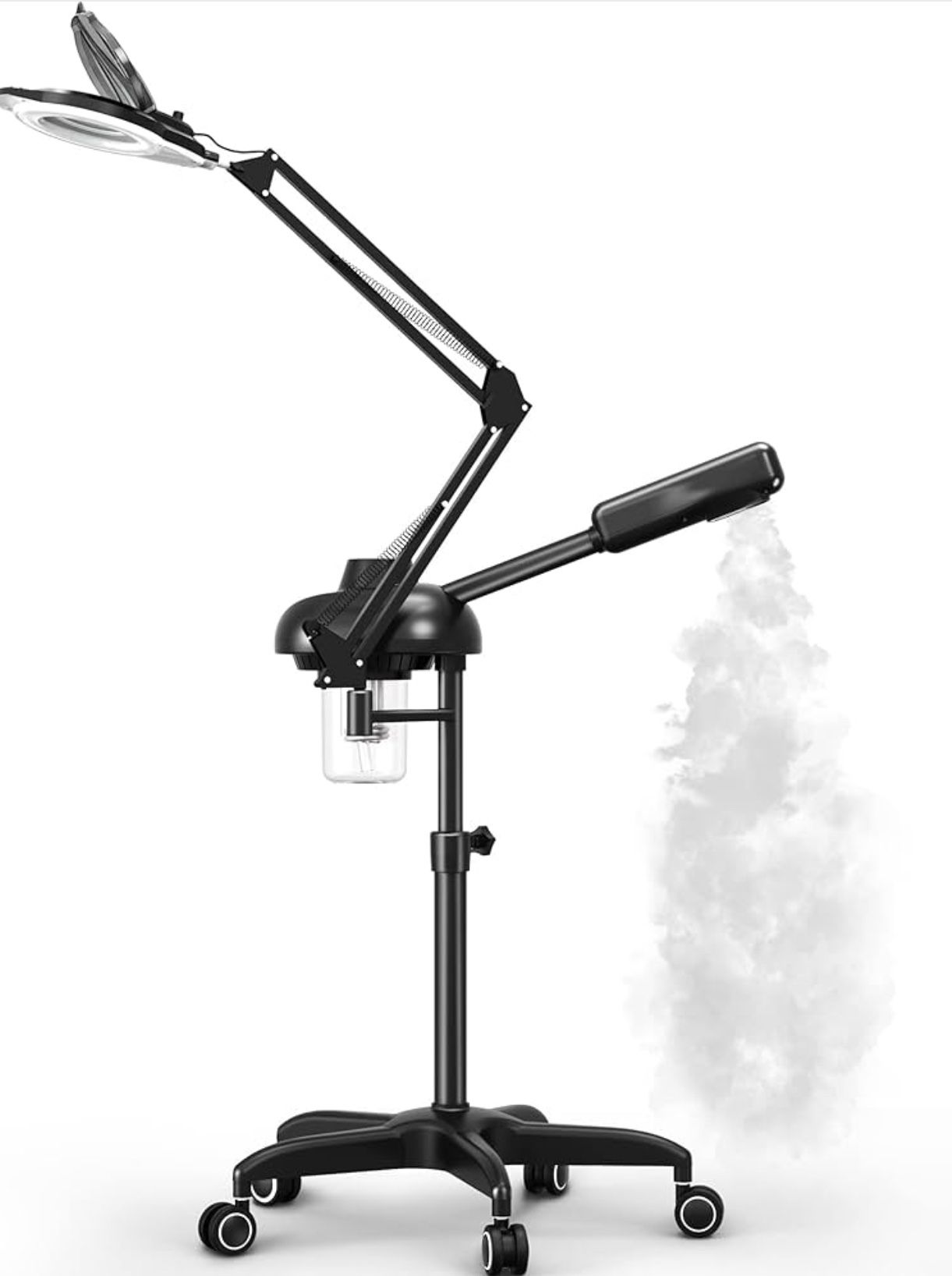 2 In 1 Professional Facial Steamer