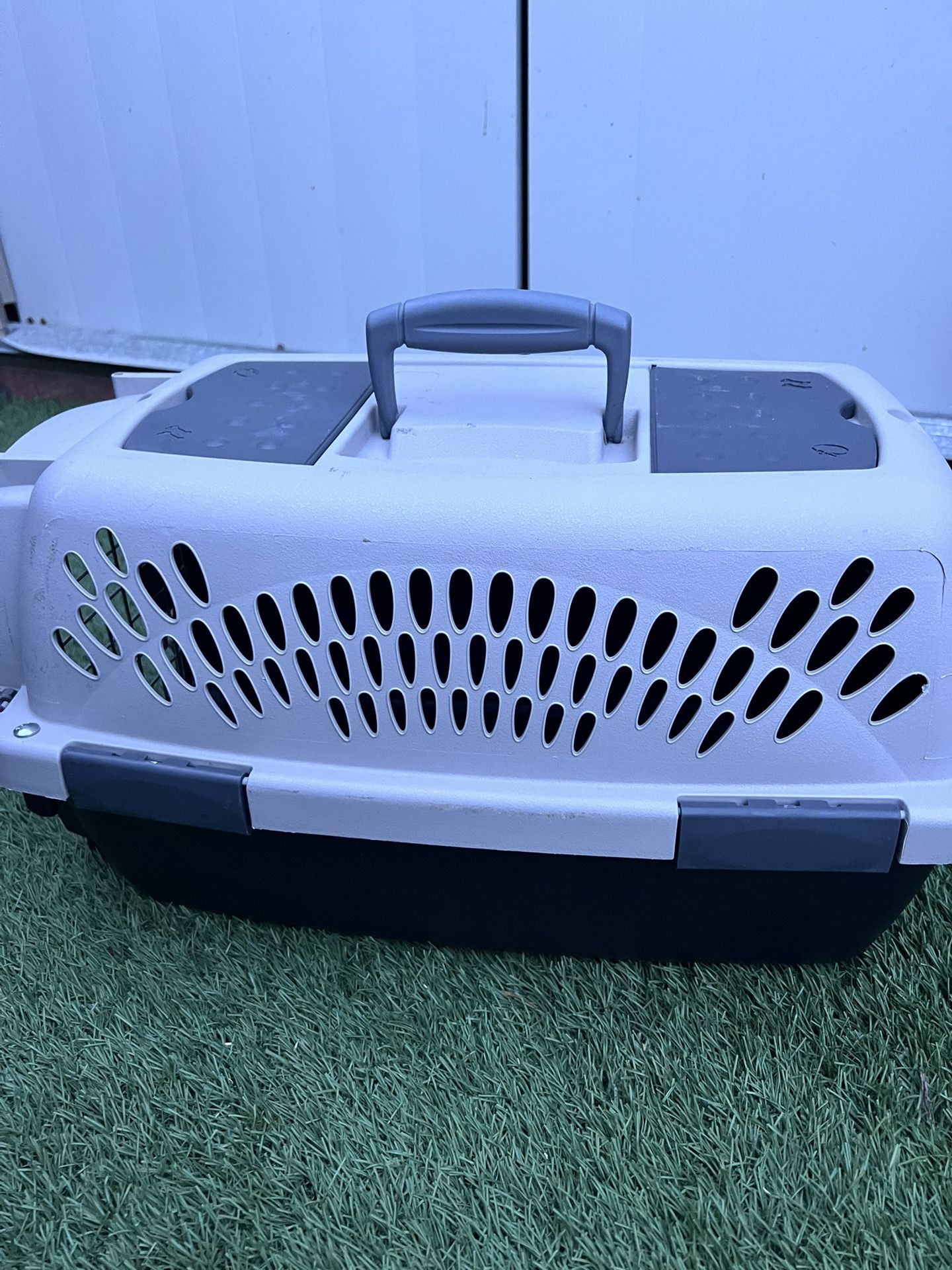 Pet Taxi Carrier