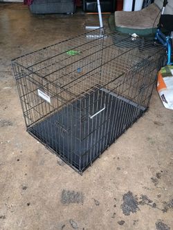 Wire dog kennel