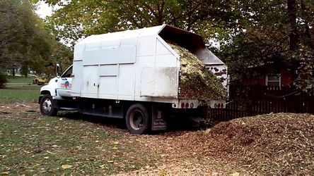 Free tree Mulch