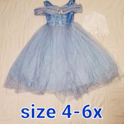 Cinderella Halloween Costume