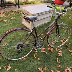Panasonic Cruiser bicycle