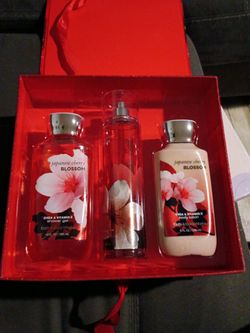 Bath and Body Works Gift Set