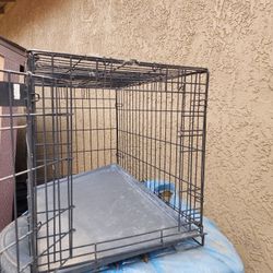 Kennel