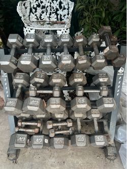Hex Dumbbell Set w/ Rack (10–50 lbs) – Full Set