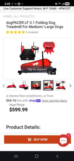 Dog pacer treadmill