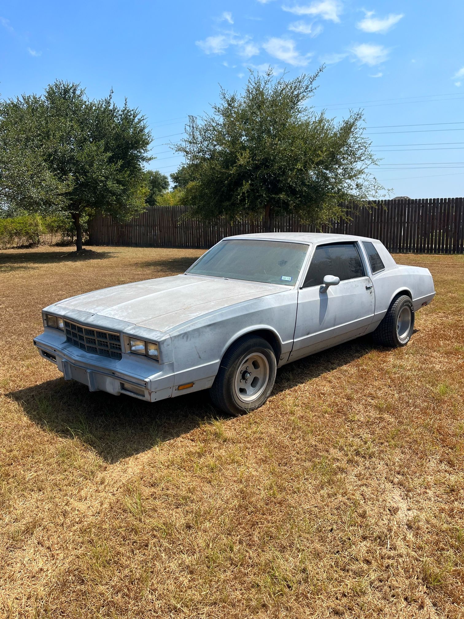 1981 Chevrolet Monte Carlo
