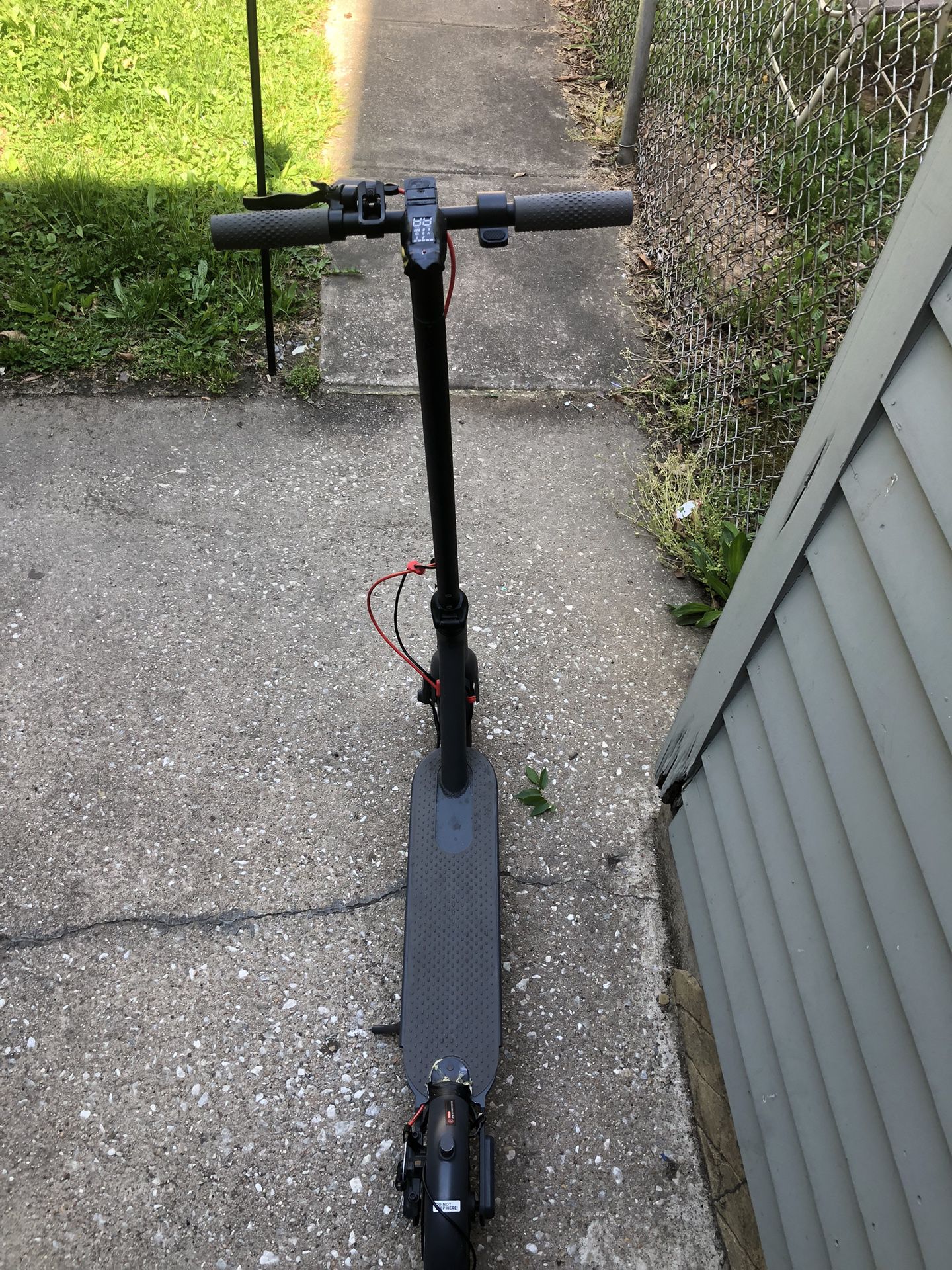 Folding Electric Scooter 
