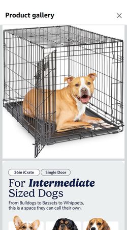 Midwest Lifestages  Dog Crate