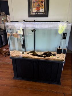Custom acrylic 120 gallon fish tank aquarium and stand