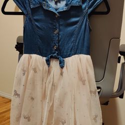 Zumie Girl's Dress 6x
