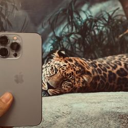 Factory Unlocked Iphone 13  Pro 128 gb comes with store warranty 