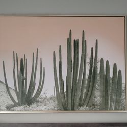 Organ Pipe Cactus Framed Canvas Wall Art