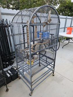 Bird Cage Jaulas