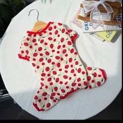 New Clothes For Dog 