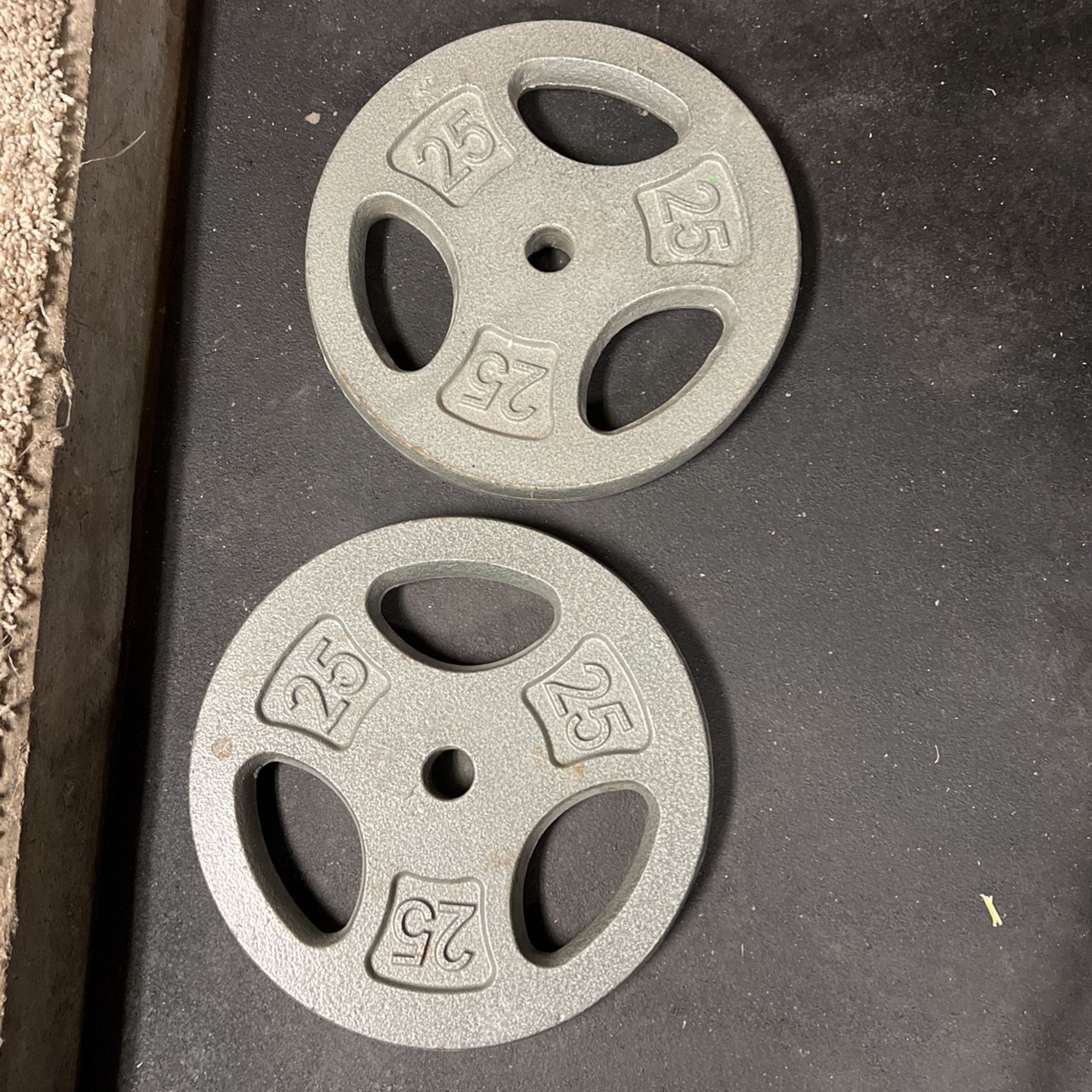 25 Lb Plates