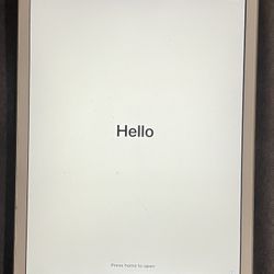iPad Mini 2